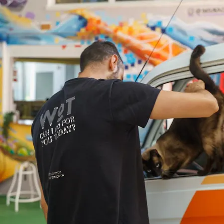 Wot Social Ostello Peniche